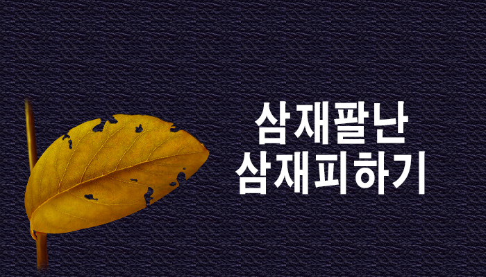 ����Ǯ��
